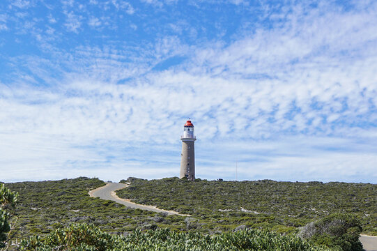 Weihai Binhai Park Lighthouse with Winding Path and Blue Sky