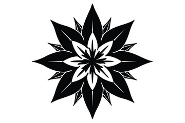 Obraz premium starflower silhouette line art vector illustration