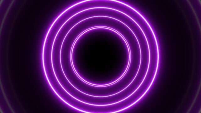 purple neon circle waves loop animation background