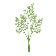 Fototapeta premium Fresh dill herb sprigs isolated on white background.