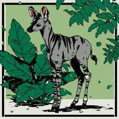 Curious Okapi in Rainforest Clearing © Edik