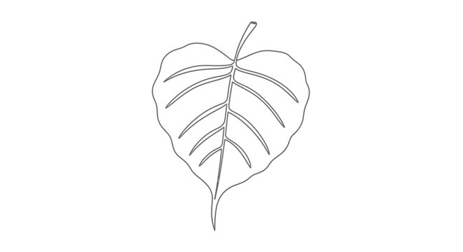 Bodhi Leaf Outline Drawing, Sacred Fig Tree Leaf Vector Art