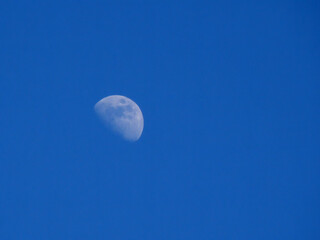 Fototapeta premium Beautiful picture of the moon during a lovely evening, visible in the blue sky.
