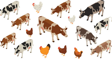 Isometric farm animals set, dairy cows and chickens collection, livestock agriculture vector illustration isolated on light background © Najmul