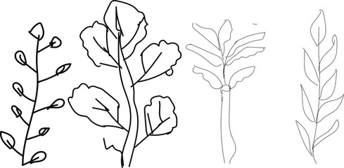 Botanical illustration of various plant species with leaves and stems