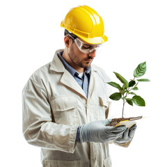 A man in a hard hat and safety glasses holding a small plant with green leaves.