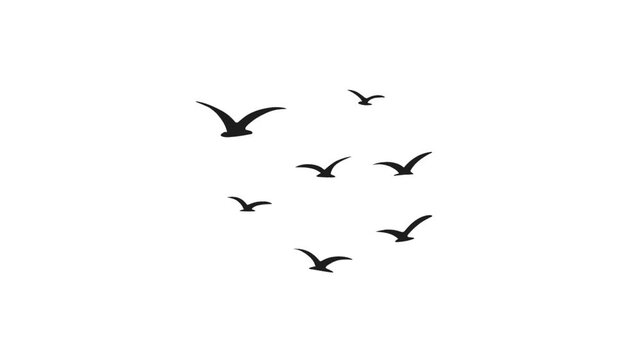 2D Animated Birds Silhouette for Sunset Sky Theme
