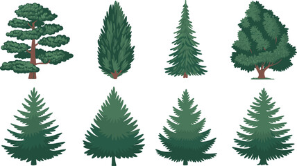 Coniferous tree vector collection, pine and fir illustrations, spruce silhouettes and evergreen icons, Christmas tree shapes, woodland foliage for landscape and holiday design ©  Alexander Creations