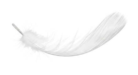 A delicate white feather floating gently against a dark background PNG