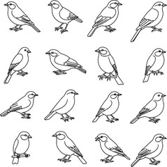 Fototapeta premium Black and white of multiple small birds in various poses also transparent background line simple