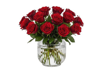 Vibrant red roses in a clear ribbed vase, isolated subject with transparency.