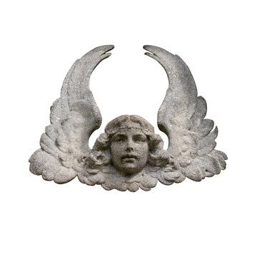 Face and wings of a cherub from a stone bas-relief. Isolated on a white background