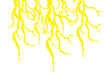 Yellow root tendrils hanging from white background.