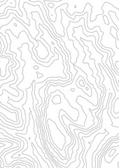 Fototapeta premium Curvas de nivel sobre fondo blanco. Mapa Topográfico 