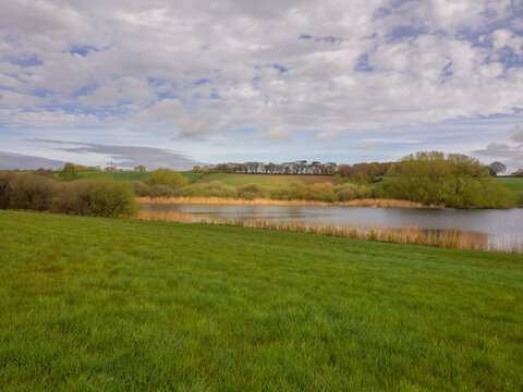 A very unusual very quiet morning at Pickmere lake, Pickmere, Knutsford, Cheshire, UK