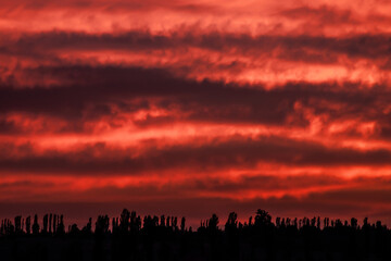 Dramatic red sunset sky with layered clouds above dark tree silhouettes. Fiery evening atmosphere and vivid twilight landscape background.