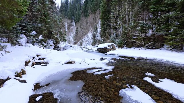 Pristine Winter Mountain River in the Carpathian Forest