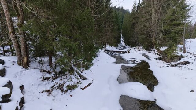 Mountain river in Carpathians