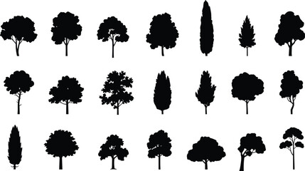 Silhouettes of various trees with different shapes and sizes on a white background black