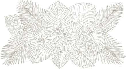 Elegant collection of detailed monstera and palm leaves rendered in delicate line art creating a sophisticated tropical botanical border design element for print. © Murshid