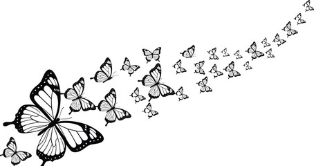 Black butterfly silhouette set, flying insect swarm, nature wings vector, isolated lepidoptera graphics, flavector, garden decoration, spring butterfly collection, artistic. © Foredul