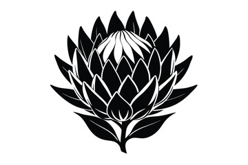 protea silhouette line art vector illustration