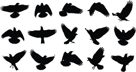 Fototapeta premium Raven and crow bird silhouettes set flying in sky vector illustration for graphic design projects isolated on white background flavector