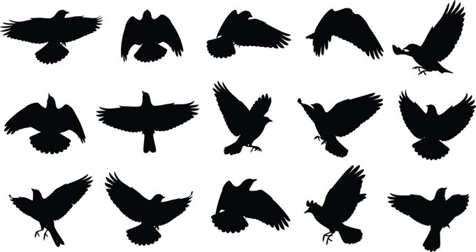 Raven and crow bird silhouettes set flying in sky vector illustration for graphic design projects isolated on white background flavector