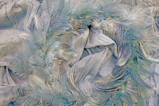 Federn und Stoff in blaulila T&ouml;nen - feathers and mousselin in pink and light blue shades