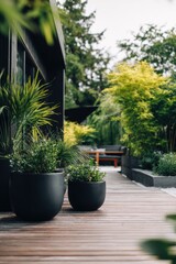Fototapeta premium A variety of plants are placed in black pots, lined up along a wooden walkway next to a charming home, all encircled by lush green trees on this overcast day in a beautiful garden