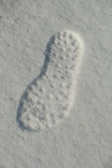 Fußabdruck im gefrorenen Schnee © Dagmar Gärtner