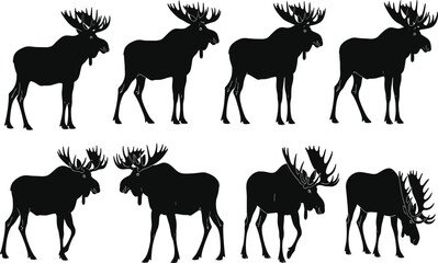 Black Moose Silhouettes Set Featuring Majestic Wild Elk Profiles and Bull Moose Poses for Wildlife Conservation Hunting Graphics Nature Illustration and Northern Wilderness Design Projects