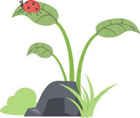 A ladybug perched on a leafy green plant near a rock
