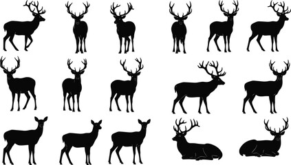 Collection of black deer silhouettes with antlers in various standing and sitting poses isolated on white background for wildlife hunting and nature design © All in one