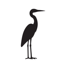 Obraz premium A large great blue heron with striking grey feathers and a sharp beak stands wading in a Florida pond, showcasing the majestic nature of this wild ardea cinerea bird fishing in the water