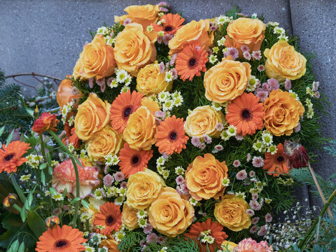 Farbe im kalten Februar Blumen am Grab die Gedanken sind bei Dir