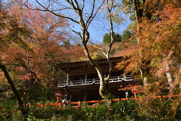 秋の貴船神社　本宮　龍船閣(京都市左京区)