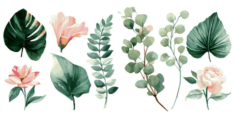 Vibrant tropical hibiscus flowers and exotic green leaves watercolor illustration set © DARK TRUST