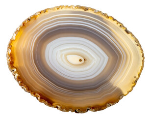 Close-up of a polished agate slice with concentric bands and natural patterns.