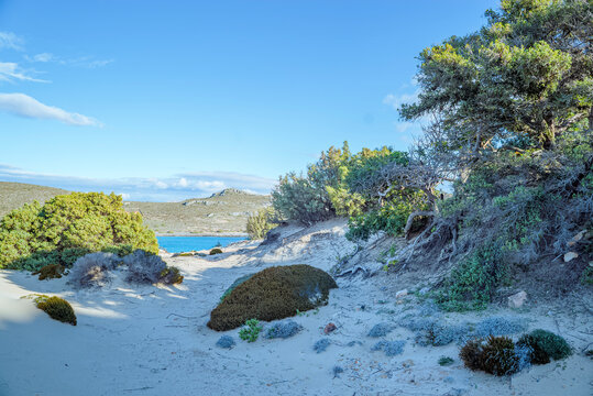 Simos Beach, Elafonisos, Greece: Sandy path with vegetation and blue sea