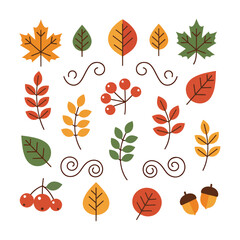 Fototapeta premium Collection of various autumn leaves, berries, and acorns in warm colors vector illustration.