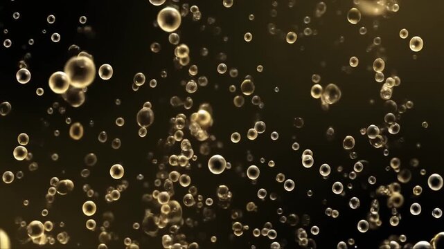 Champagne bubbles rising continuously, smooth loopable, dark elegant background, 4K