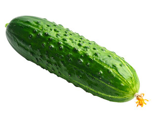 Fresh green cucumber isolated on a white background healthy vegetable.