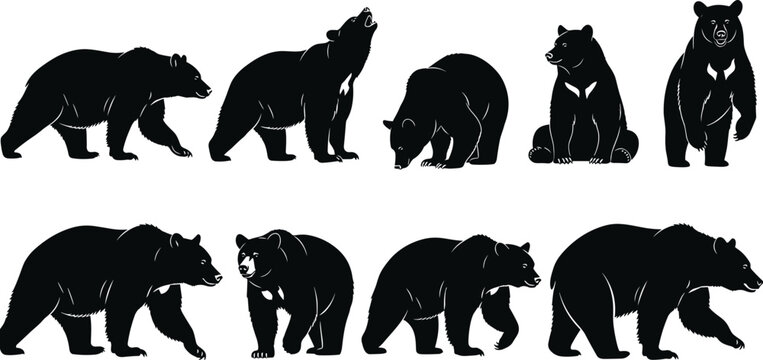 Bear silhouette illustrations, stylized wildlife vector artwork, forest animal graphic design, rustic nature clipart, outdoor icon set, roaring and walking bear poses collection
