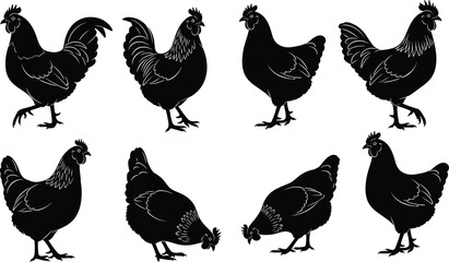 Chicken silhouette illustrations, poultry vector artwork, rustic countryside bird clipart, livestock icon collection, stylized chicken poses, agricultural poultry graphics set © MDMUNTASSER