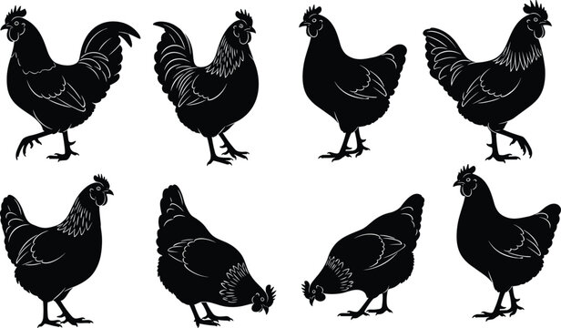 Chicken silhouette illustrations, poultry vector artwork, rustic countryside bird clipart, livestock icon collection, stylized chicken poses, agricultural poultry graphics set