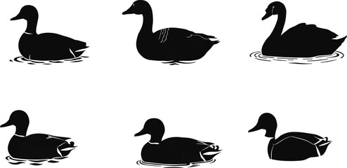 A collection of detailed black and white silhouettes of ducks and swans swimming gracefully on the water, ideal for wildlife and nature themes © Polash Contributor