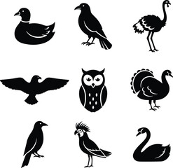 Obraz premium a set of black silhouettes of various birds on white background