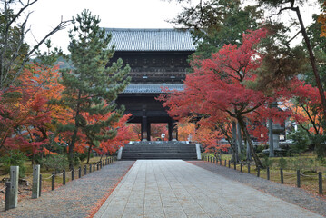 秋の南禅寺　三門(京都市左京区)