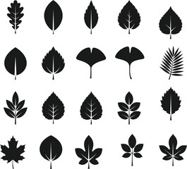 Fototapeta premium Collection of diverse leaf shapes and silhouettes